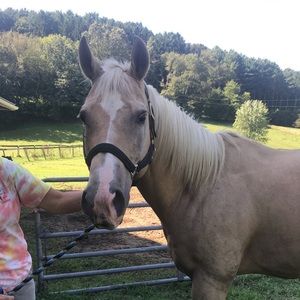 Meet your Posher, Sheila